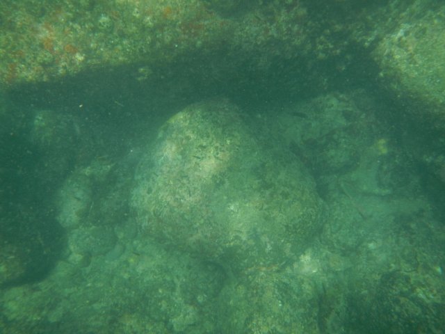 dscn1598